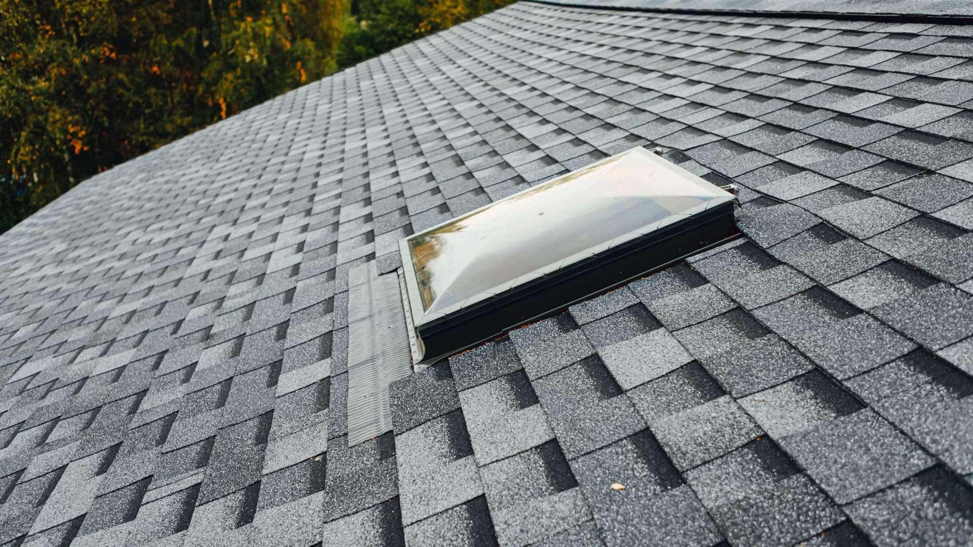Skylight on gray shingle roof with autumn trees in background